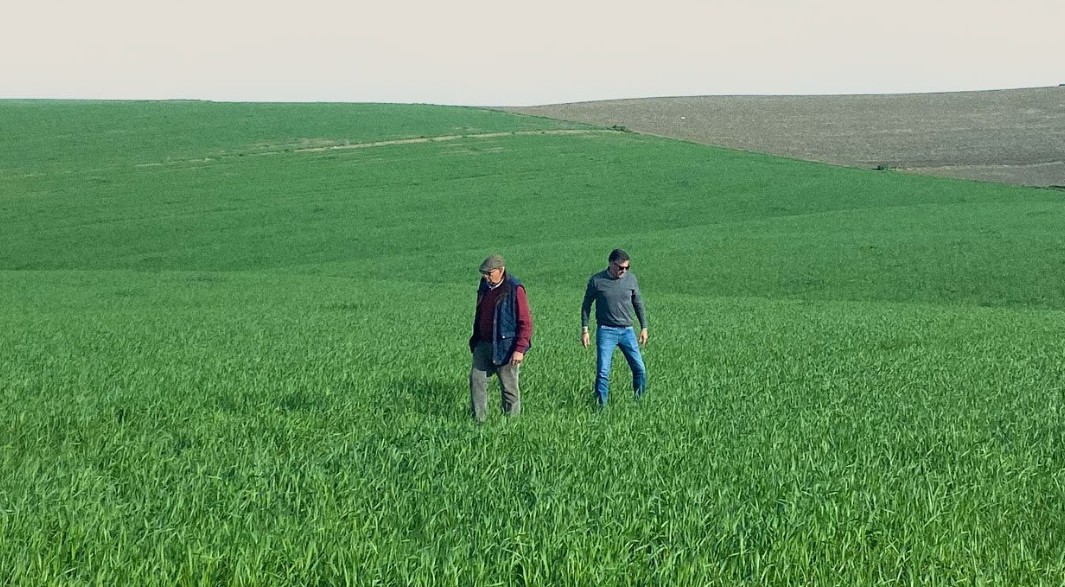 Utrera será el nuevo epicentro de producción de Valle Galbarro