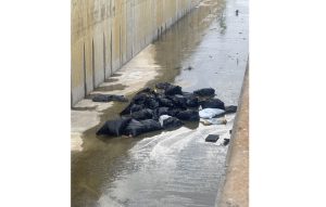 Más basura