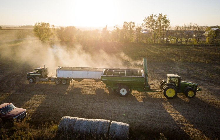 Un nuevo proyecto empresarial se desarrollará en la carretera de Arahal para la fabricación y distribución de compost