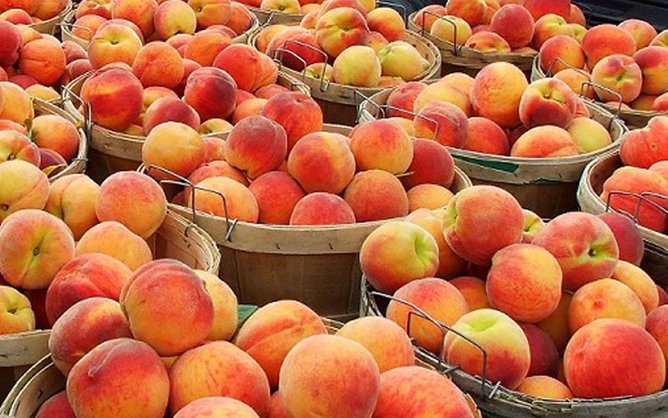 España, autorizada a exportar melocotón y ciruelas a China
