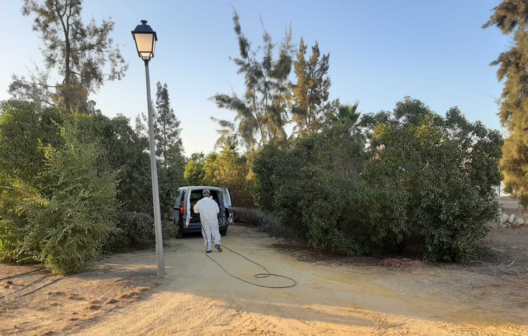 El Ayuntamiento de Utrera «muy pendiente» de la evolución del virus del Nilo en la provincia sevillana
