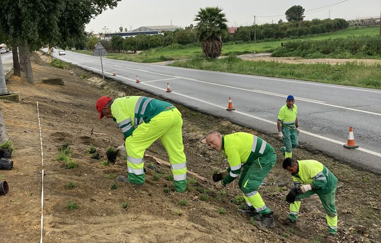 Utrera afronta la mejora paisajística de sus entradas