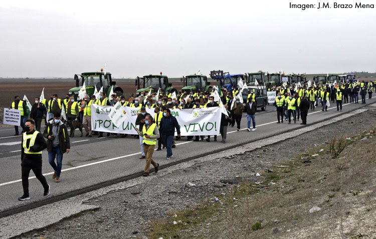 Agricultores de Utrera se suman a la manifestación del campo cortando la AP-4 para reclamar «una PAC justa y precios dignos»