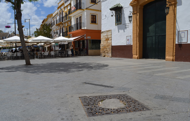 El Ayuntamiento repondrá casi 850 árboles en el casco urbano de Utrera