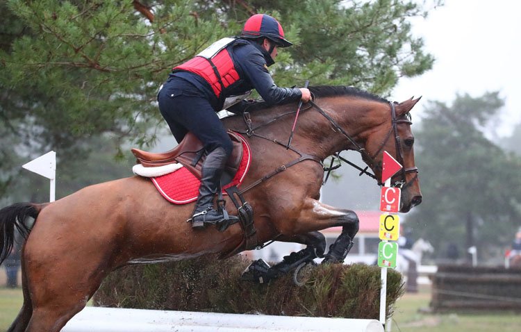 El jinete utrerano Antonio Cejudo se proclama campeón de Andalucía de concurso completo de equitación