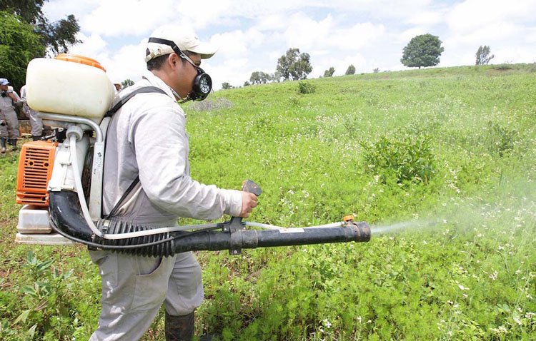 Llegan dos nuevos cursos para obtener el carné de aplicador de fitosanitarios