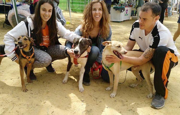 La asociación animalista «Arca de Noé Sevilla» busca voluntarios al trasladar su refugio a Utrera