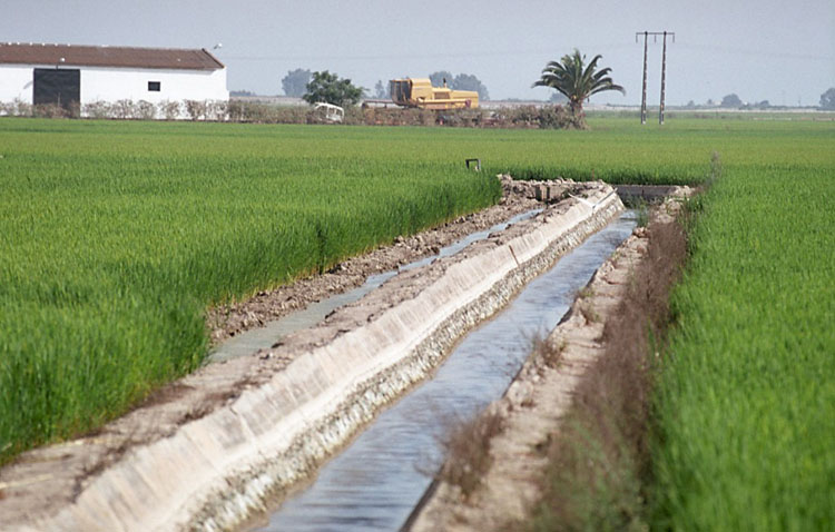 COAG denuncia que muchos agricultores aún no han percibido las ayudas de la PAC