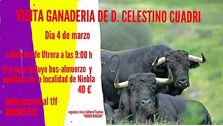 La asociación taurina ‘Curro Guillén’ organiza una visita a la ganadería de Celestino Cuadri
