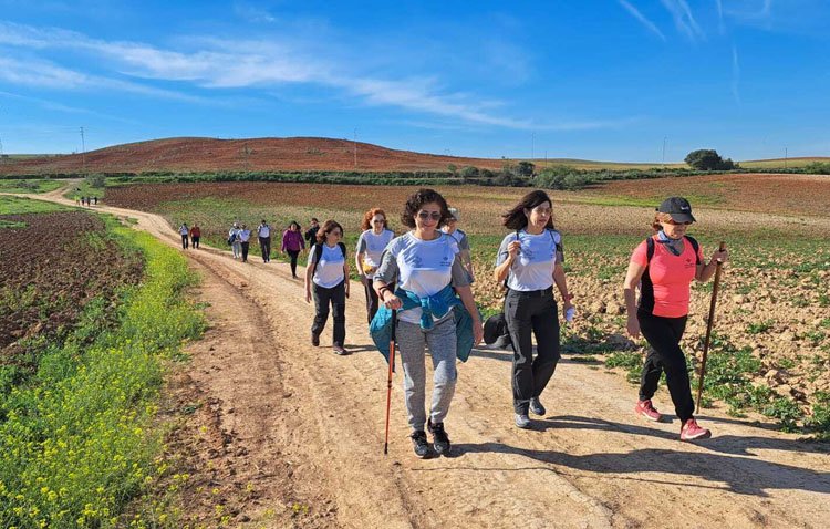 La Asociación de Amigos del Camino de Santiago de Utrera pone en marcha un teléfono de atención al peregrino
