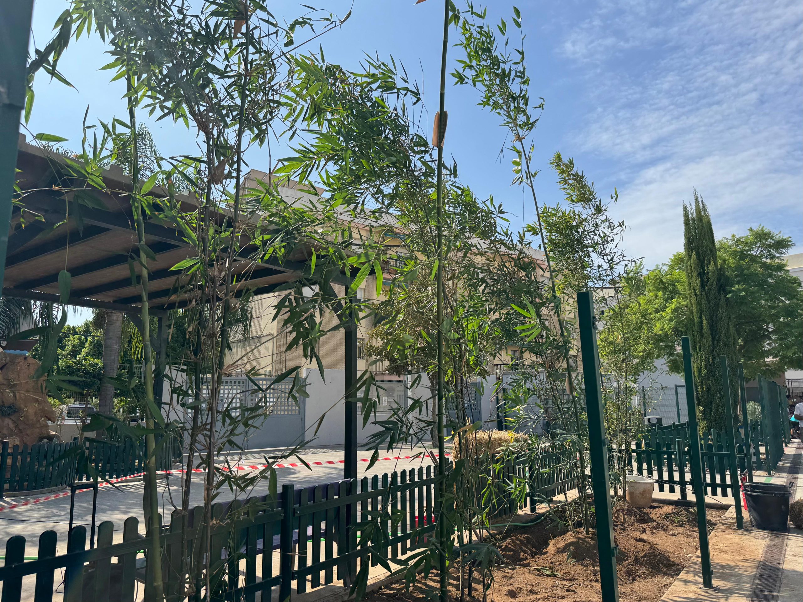 El colegio Álvarez Quintero incorpora bambúes en sus jardines