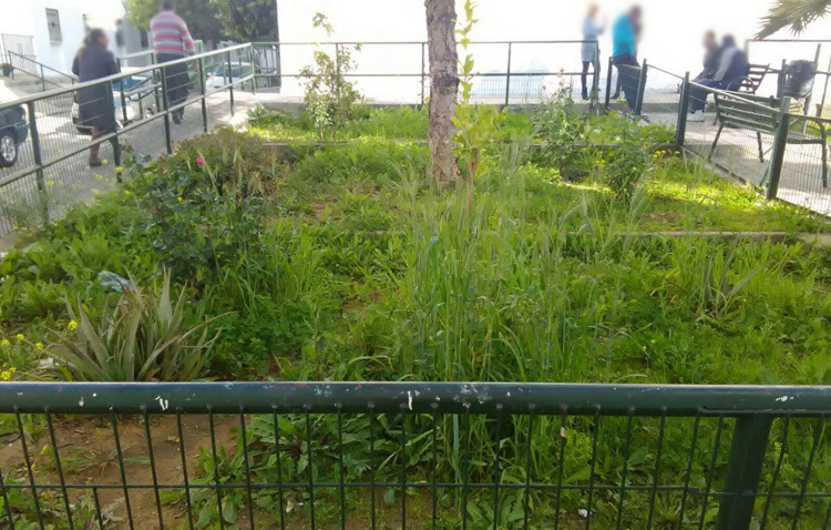 Podemos denuncia el «nulo mantenimiento» de los jardines de la barriada La Paz