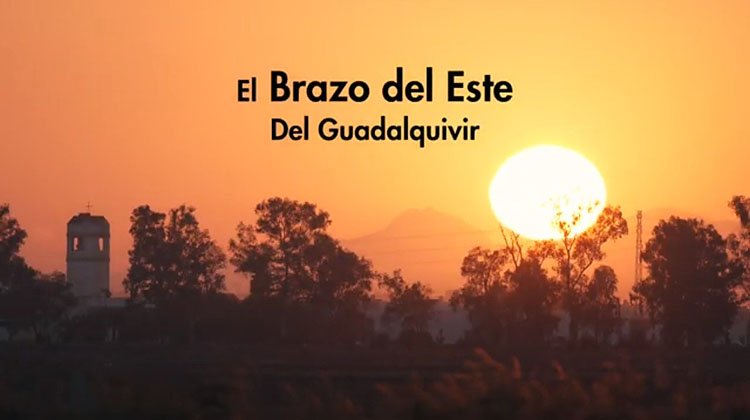 El Brazo del Este, un importante paraje natural con una enorme riqueza medioambiental en el término de Utrera