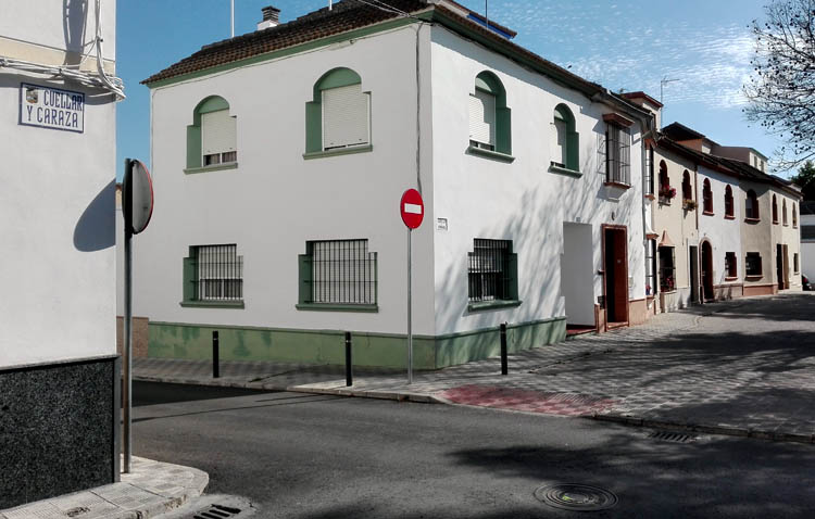 Denuncian la presencia de «serpientes» en la calle Cuéllar y Caraza