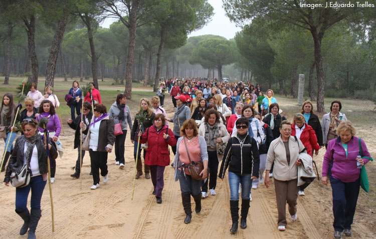 La hermandad del Rocío organiza su tradicional camino de mujeres