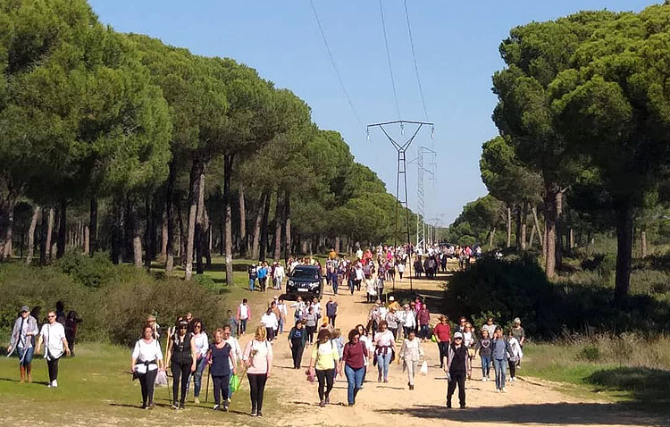 Dos décadas del ‘Camino de mujeres’ de la hermandad del Rocío de Utrera