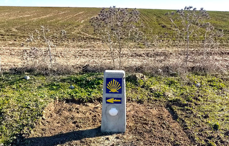 Las señales del Camino de Santiago en Utrera vuelven a la vida