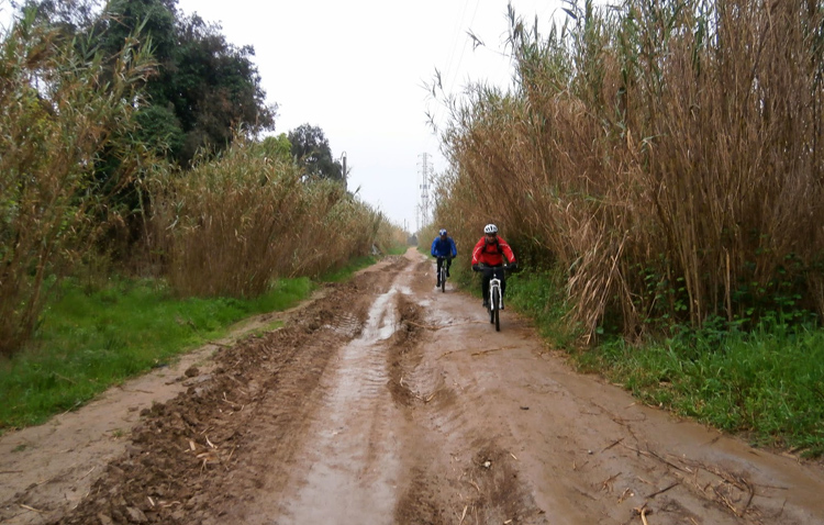 Las recientes lluvias torrenciales causan pérdidas millonarias a los agricultores de Utrera