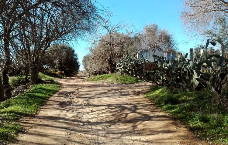 Una campaña municipal destaca la importancia de mantener limpios los caminos rurales de Utrera