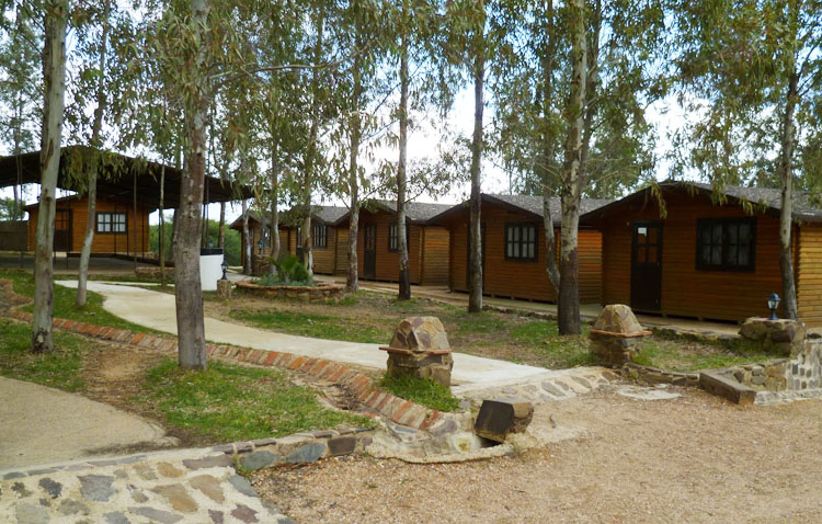 Un campamento de verano de la hermandad de los Aceituneros para 20 niños en riesgo de exclusión social