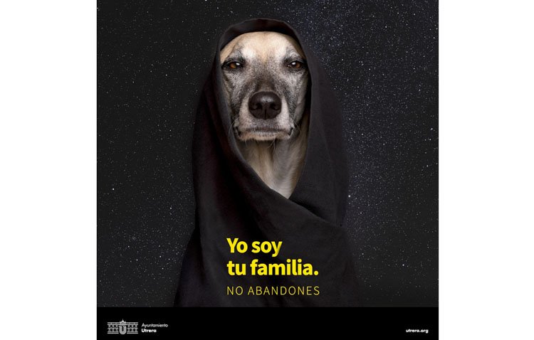 ‘Yo soy tu familia. No abandones’, una campaña para prevenir el abandono de animales de compañía y fomentar las adopciones