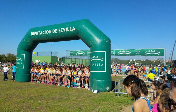 El Ayuntamiento cifra en 90.000 euros la repercusión económica de la prueba de campo a través celebrada en Utrera