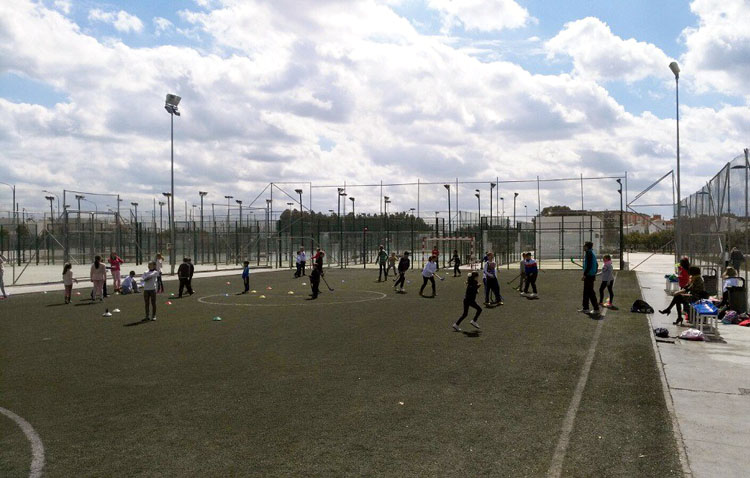 El campo de fútbol del parque del V Centenario sustituirá su césped artificial