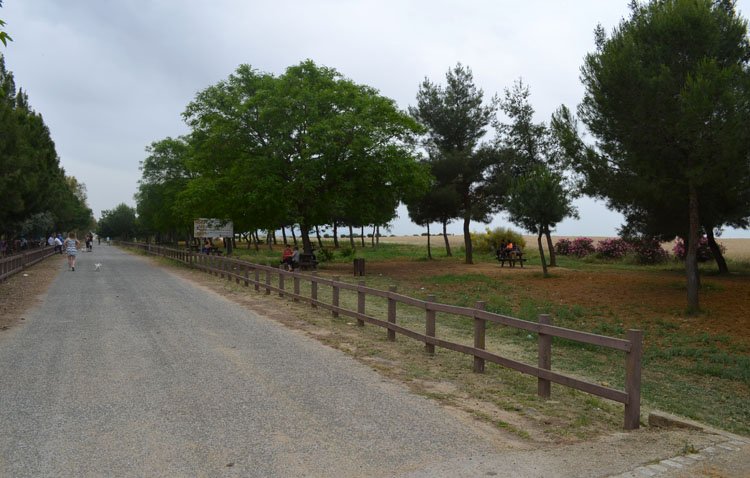 Utrera inicia el diseño de su «nuevo» parque periurbano de Vistalegre