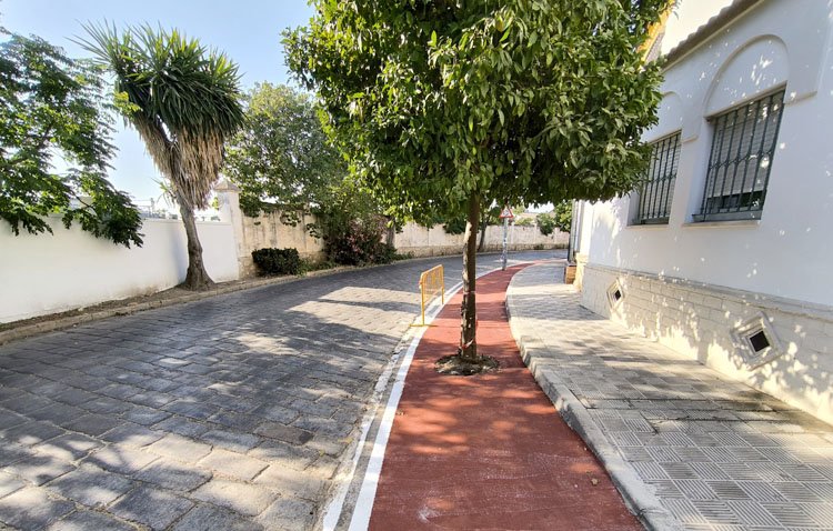 La Red de Utrera por el Clima pide evitar una posible tala de los árboles de la avenida Abate Marchena por el carril bici