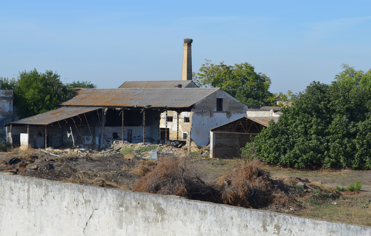 El programa de captura, esterilización y suelta ha logrado ya tratar a nueve gatos de la colonia felina de La Fontanilla