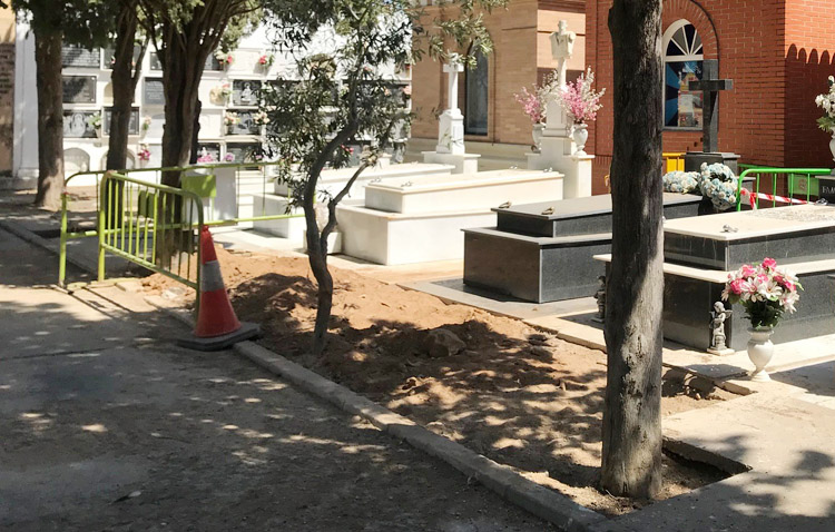 Encuentran una fosa común en el cementerio de Utrera con fallecidos en epidemias previas a la guerra civil