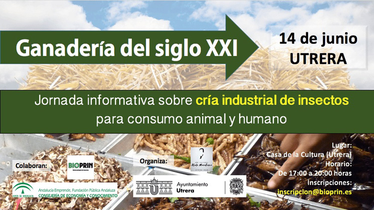 El Ayuntamiento organiza una charla sobre la cría de insectos para consumo animal y humano