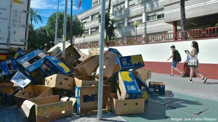 Los detenidos con más de una tonelada de cocaína escondida entre plátanos seguirán en la cárcel