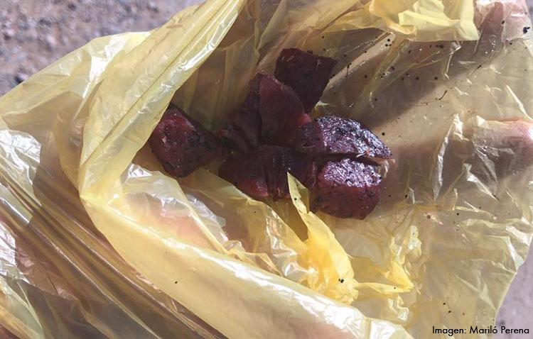 Guardia Civil y Policía Local investigan el presunto envenenamiento y la muerte de dos perros en El Matadero