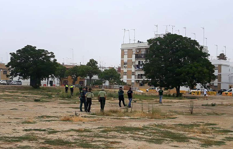 El rastreo de los cuerpos de seguridad descarta la presencia de comida envenenada en la zona del Matadero