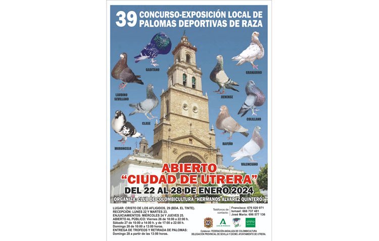 Una semana para adentrarse en el mundo de las palomas deportivas de raza