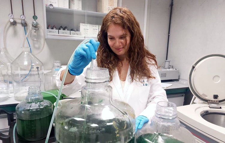 La científica utrerana Consolación Álvarez, premiada por una investigación sobre el arroz de las marismas del Guadalquivir