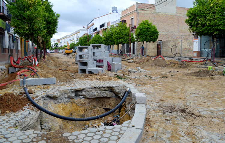 La Corredera comienza a perder sus clásicas jacarandas