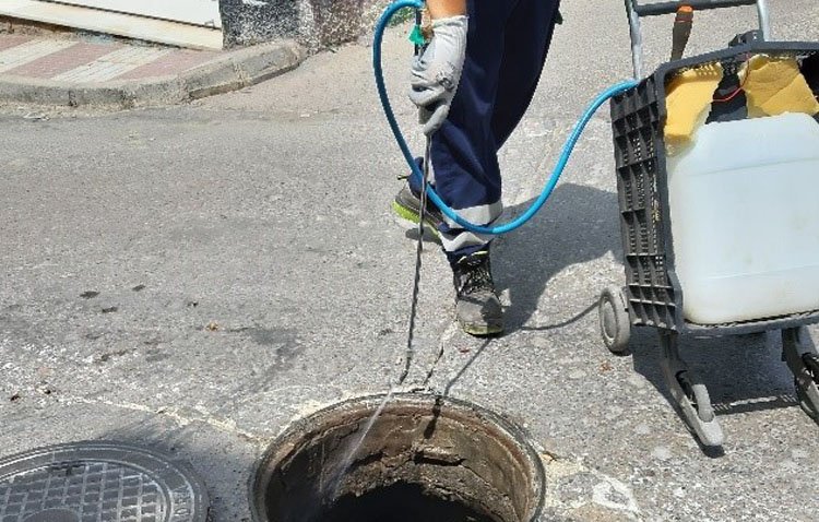 Utrera afronta una campaña de choque frente a las cucarachas