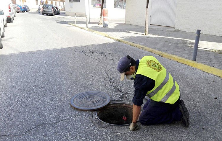 Utrera pone freno a la llegada de las cucarachas