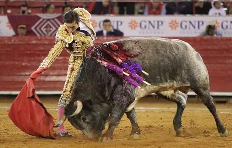 El novillero utrerano Curro Durán, ovacionado en su presentación en La México