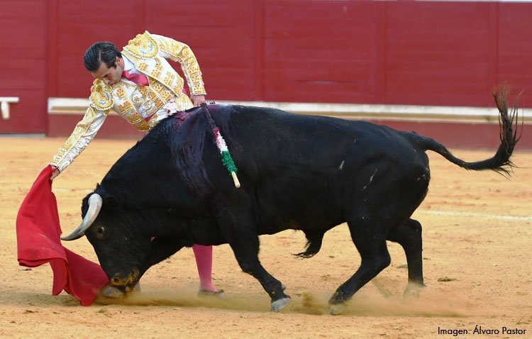 Curro Durán pincha faena de orejas en la tarde de su alternativa