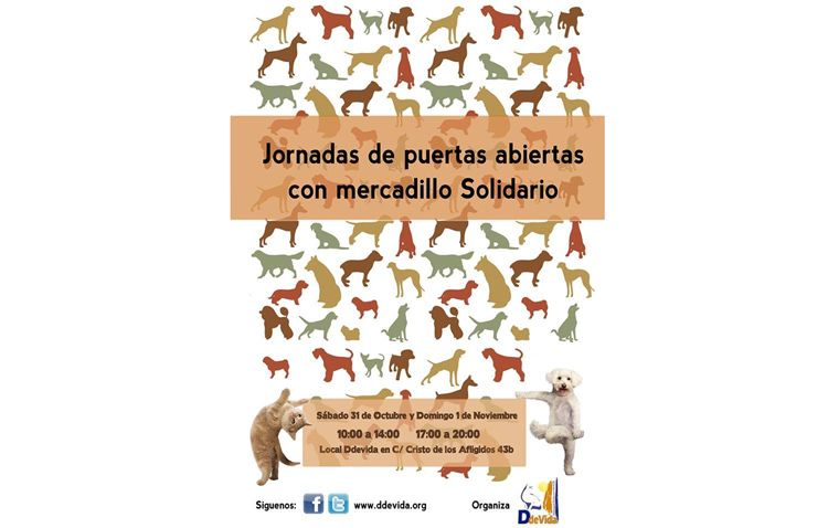 Jornadas de puertas abiertas con mercadillo solidario en Ddevida