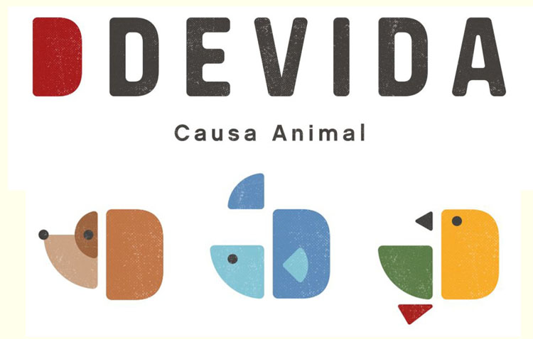 Ddevida renueva su identidad para «actualizar su forma de llegar a las personas y de contar lo que hace»