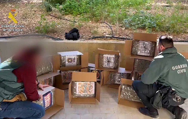 La Guardia Civil desmantela en Utrera una red de transporte de droga escondida en elementos de decoración