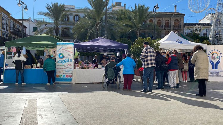 Apdis, Acéptalos y Apudes muestran su trabajo a los utreranos en una jornada de visibilización en la plaza del Altozano