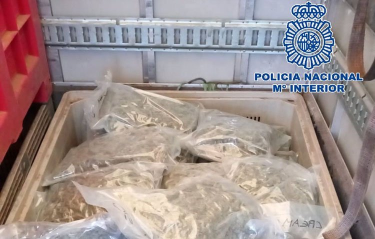 Detenido en Utrera con 55 kilos de cogollos de marihuana en su furgoneta