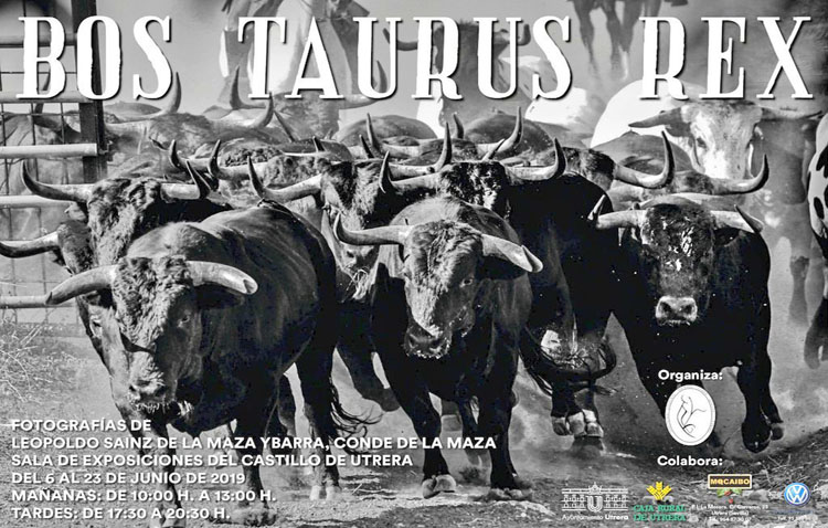 Una exposición con fotografías del conde de la Maza en el castillo de Utrera
