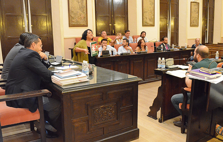 Villalobos expulsa del pleno a la portavoz del PA tras su reacción ante los «insultos» del portavoz del gobierno (AUDIO)