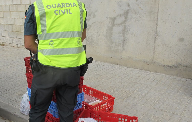 Más de 100 kilos de alimentos no aptos para el consumo, retirados durante la Feria de Consolación